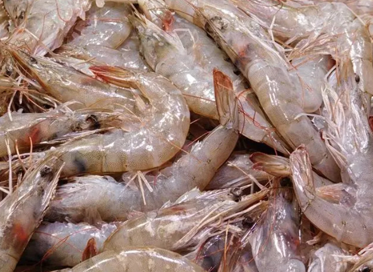 上海進(jìn)口加拿大北極蝦報關(guān)流程