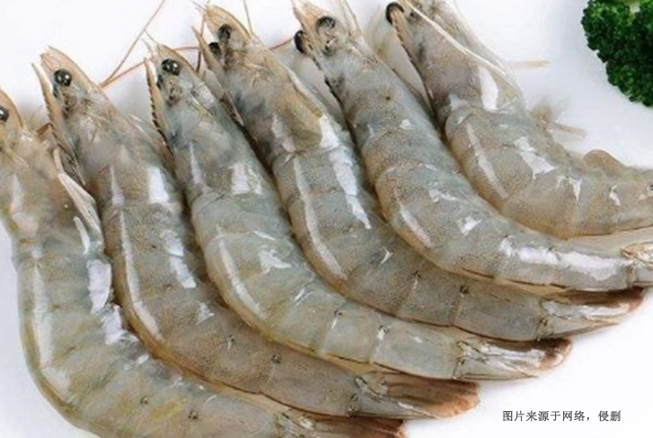 進(jìn)口泰國(guó)冷凍白對(duì)蝦報(bào)關(guān)費(fèi)用