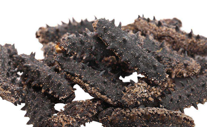 法國海參進口報關流程