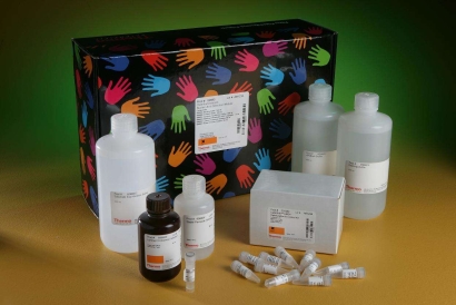 廣州進口生物試劑清關代理流程及所需資料