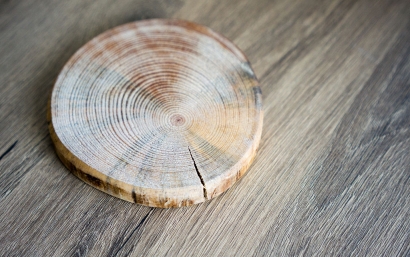 大連橡膠木進口報關代理服務