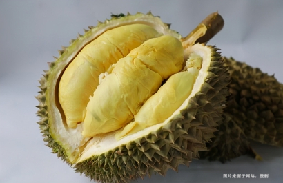 越南榴蓮進口清關資料提供這6樣-19年水果報關行