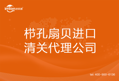 櫛孔扇貝進口清關代理公司