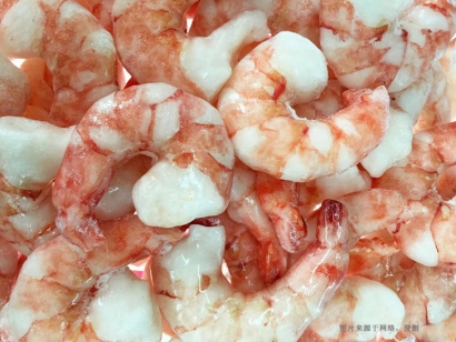 北極甜蝦進口報關資料_青島進口水產品清關代理流程