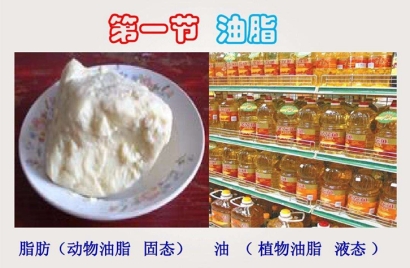 動物油脂進口報關(guān)代理難點以及所需資料