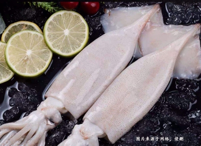 越南魷魚進口代理清關(guān)有哪些注意事項？