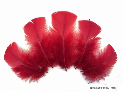 泰國(guó)進(jìn)口火雞毛報(bào)關(guān)流程_鴨毛、鴕鳥(niǎo)毛進(jìn)口關(guān)稅