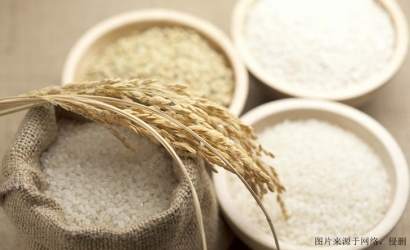 廣州進口食品報關代理_廣州臻力提供一站式解決方案