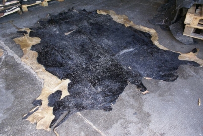 藍(lán)濕牛皮進(jìn)口需要什么資料及藍(lán)濕牛皮報(bào)關(guān)流程