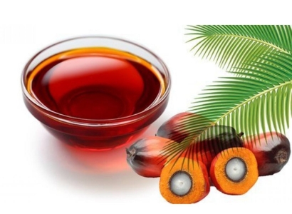 棕櫚油進口報關(guān)公司哪家好？棕櫚油清關(guān)流程