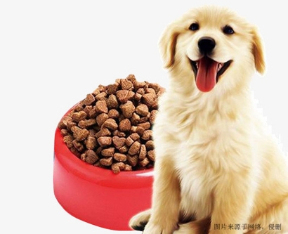 上海進口寵物食品報關流程及要點