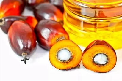 印度尼西亞棕櫚油進口清關流程及手續介紹