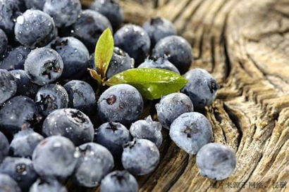 食品進口報關單證，藍莓濃縮粉怎么進口？