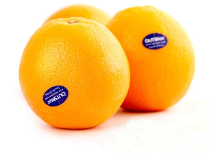 從南非進(jìn)口鮮橙子水果報關(guān)到深圳蛇口清關(guān)代理操作案例