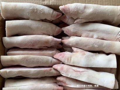 蘇州冷凍食品進口報關清關：廣州臻力提供專業(yè)服務