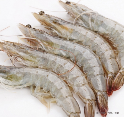 廣州進口印尼冷凍蝦報關流程及費用-水產品報關行