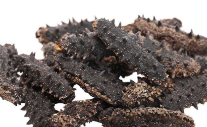 法國海參進口報關(guān)流程_上海干海參進口清關(guān)資料