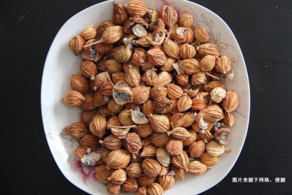 德國豆蔻進口報關流程_香料豆蔻進口準入國家