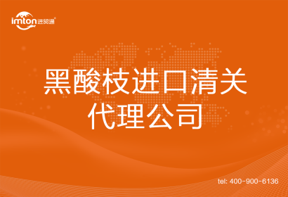 黑酸枝進口清關(guān)代理公司