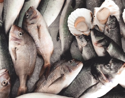 大連進口海鮮清關代理之前，務必要確定好這幾點