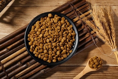 如何從國外進口貓糧