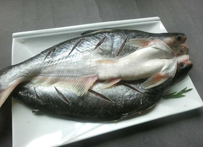 「水產品」越南胡志明到青島巴沙魚進口報關案例