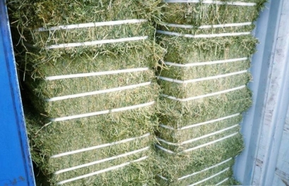 加拿大梯牧草進(jìn)口報(bào)關(guān)流程_準(zhǔn)入植物源性飼料種類