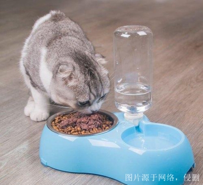 3分鐘看懂山東煙臺進(jìn)口尼泊爾寵物用品報關(guān)資料