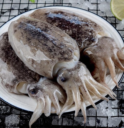 摩洛哥冷凍墨魚進(jìn)口報關(guān)費(fèi)用_水產(chǎn)品清關(guān)費(fèi)用