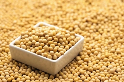 大豆進口報關資質以及資料看這了解