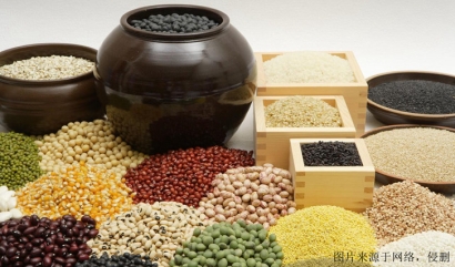 廣州進口食品報關_廣州臻力解析詳細流程和要點