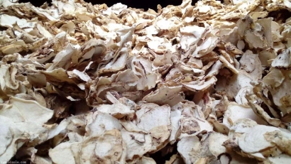 印尼魔芋可以進口嗎？魔芋干進口報關準入國