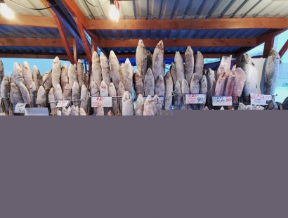 想知道菲律賓凍魚(yú)進(jìn)口報(bào)關(guān)的流程嗎?凍魚(yú)報(bào)關(guān)請(qǐng)看這里