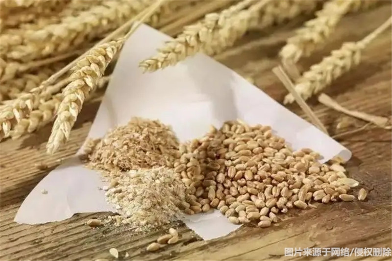 1670494705976298.jpg 進口哈薩克斯坦麥麩報關流程_副本.jpg