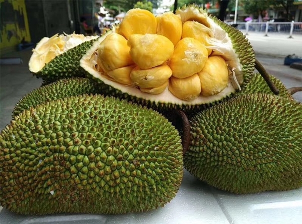 1647249189581957.jpg 泰國菠蘿蜜進口報關_副本.jpg