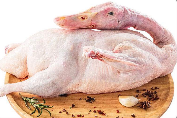 泰國冷凍鴨肉進口報關手續 泰國冷凍鴨肉進口報關手續