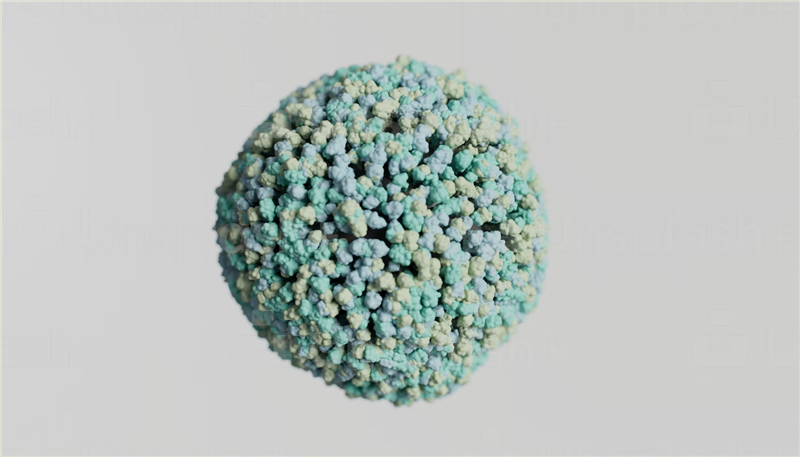 1677151602516365.png 美國細(xì)胞進(jìn)口報關(guān).png