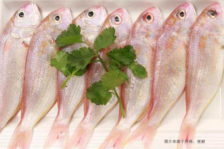 印尼冰鮮魚進口清關流程 印尼冰鮮魚進口清關流程