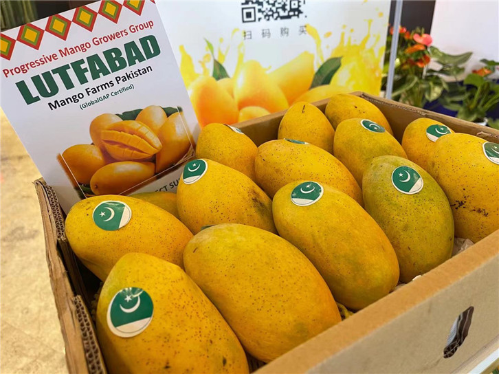 1655980302555976.jpg 進(jìn)口菲律賓芒果報關(guān)公司.jpg