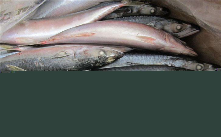 俄羅斯水產品進口報關